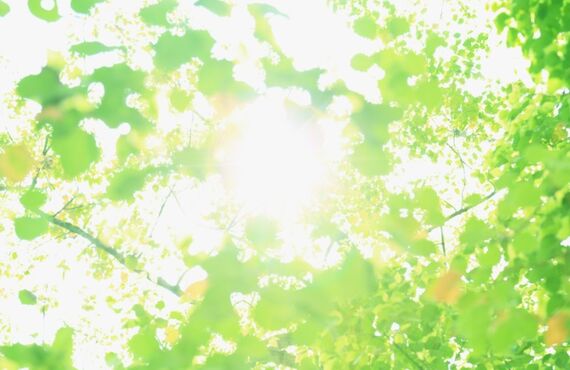 変形性股関節症でお悩みの方へ！ | 小郡で膝痛にお困りなら整体・やすらぎ療整院へ